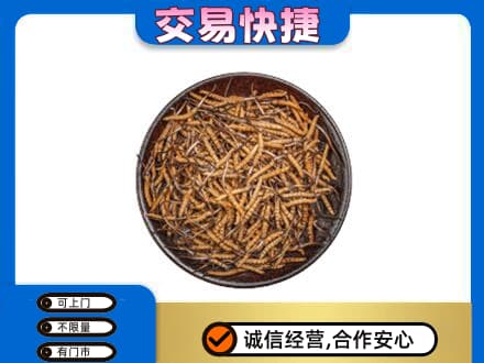 萍乡回收散虫草